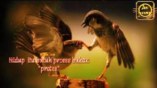 story' wa terbaru keren .hidup butuh proses bukan protes .