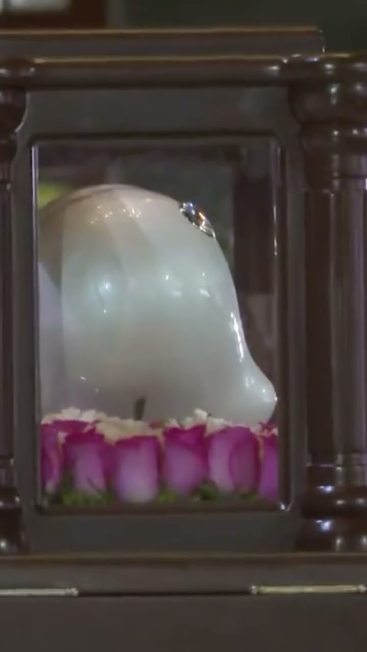 Cenizas de #Dulce reposan en la Basílica de Guadalupe ✨?