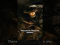Bilbo Meets Smaug for the First Time🐉⚔️ | The Hobbit: The Desolation of Smaug