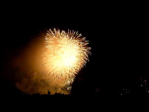 第34回 江戸川区花火大会(2009/08/01)[HD][DMC-TZ7]