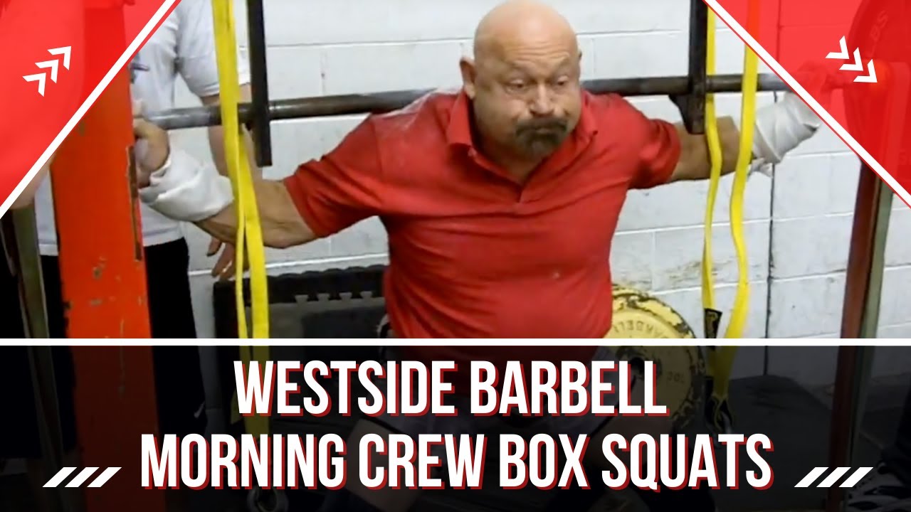 Westside Barbell Morning Crew Box Squats YouTube