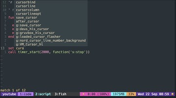 Neovim API: Async ( start a timer )