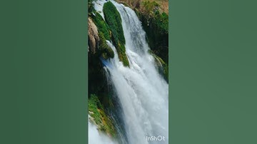 لاتنسوا قراءة سورة الكهف يوم الجمعة انها تنير بين الجمعتين اللهم اجعل في قلوبنا نورا .