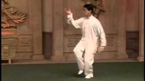 Chen Taijiquan - Laojia Yi Lu (Old Frame 1) (part 1)  - MIRROR.wmv