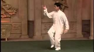 Chen Taijiquan - Laojia Yi Lu (Old Frame 1) (part 1)  - MIRROR.wmv
