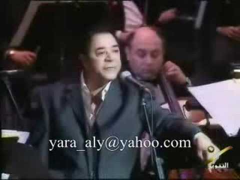 Medhat Saleh