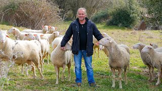 Από τα φώτα της Αθήνας στα βουνά της Ευρυτανίας για να γίνει κτηνοτρόφος | Greek Village Life