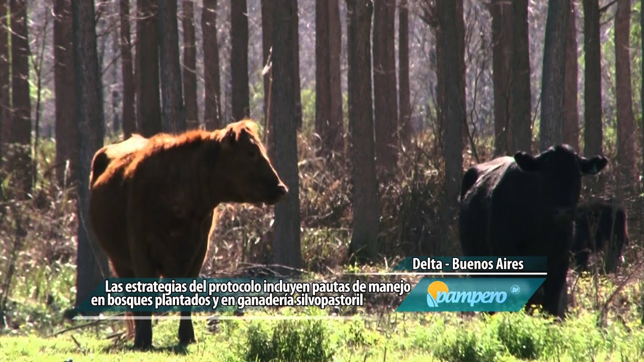 Conservación de la biodiversidad