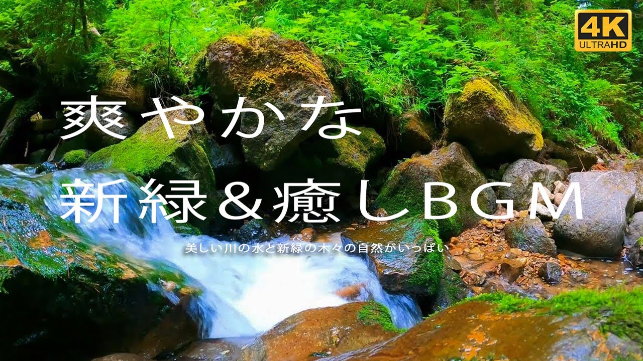 10分で眠れる川のせせらぎと鳥のさえずり【大自然,勉強,作業,集中,睡眠,癒し,瞑想,リラックス,赤ちゃん寝かしつけ,高音質,落ち着くBGM ...