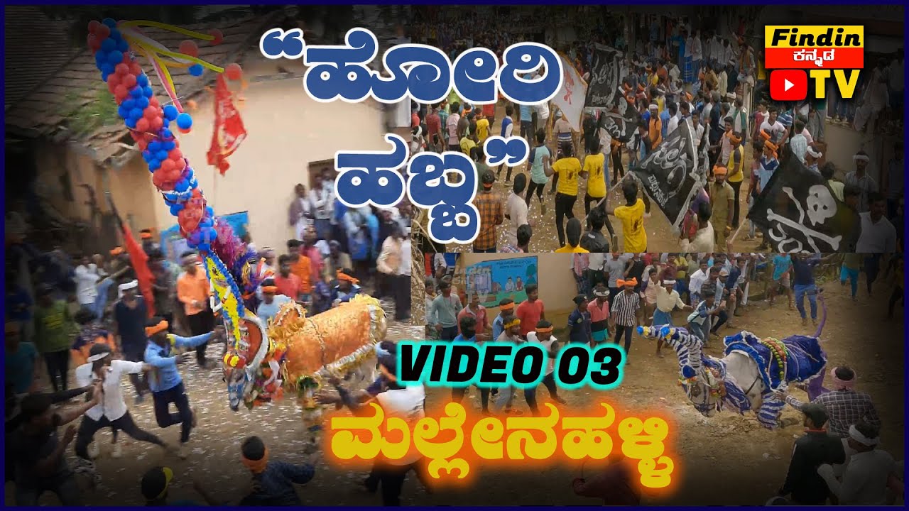 Horihabba | Mallenahalli 03 | Indian bull race | Karnataka ...
