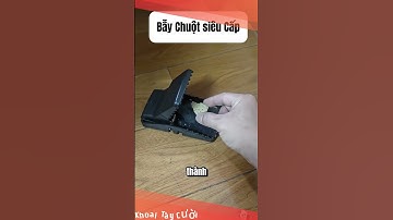 Bẫy Chuột Siêu Cấp Víp Pờ Rồi #funny #tiktok #shorts #memes