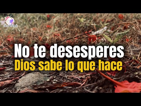 No te desesperes Dios sabe lo que hace Este mensaje es para ti - YouTube