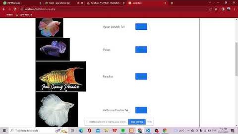 Sistem Pakar Bettafish Berbasis Web