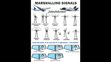 Marshalling signals guide #marshalling #aviation #guide #shorts