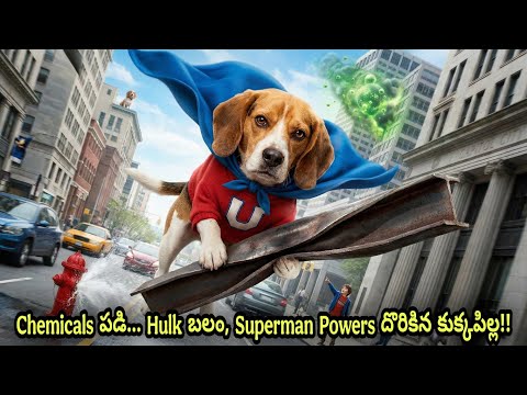 ల్యాబ్ లోకి దూరిన పాపానికి సూపర్ హీరో అవ్వాల్సి వచ్చిందా?!🐶 | Sci-fi Movie Telugu | Filmy Overload