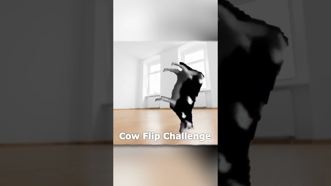 What "Dancing Polish Cow" sound is the BEST?