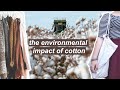 THE ENVIRONMENTAL IMPACT OF COTTON // + is organic cotton ACTUALLY better?