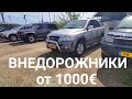 Внедорожники от 1000€ в Голландии, купили Hyundai Tucson