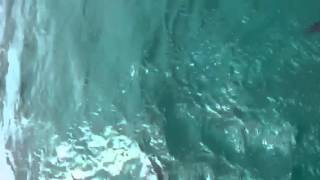 IMG 1611 1