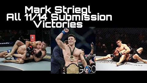 MARK STRIEGL : ALL 11 SUBMISSION OF 14 SUBMISSION ...