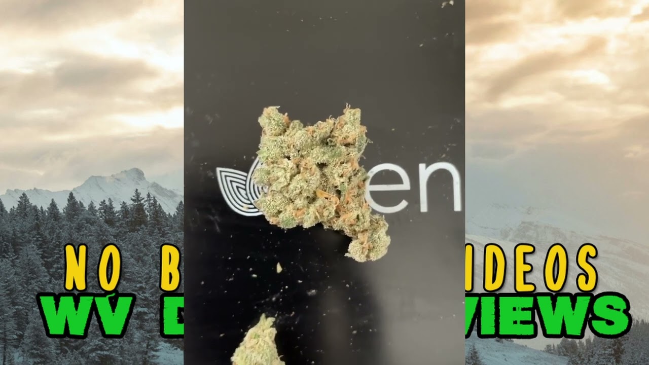 Alt Sol Jack Herer Flower Review