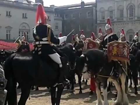 Mounted band of the blues & royals