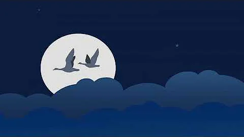 Art of Mentoring Software Overview