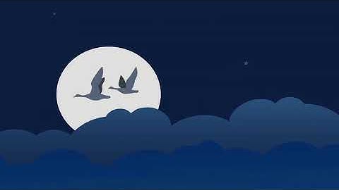 Art of Mentoring Software Overview