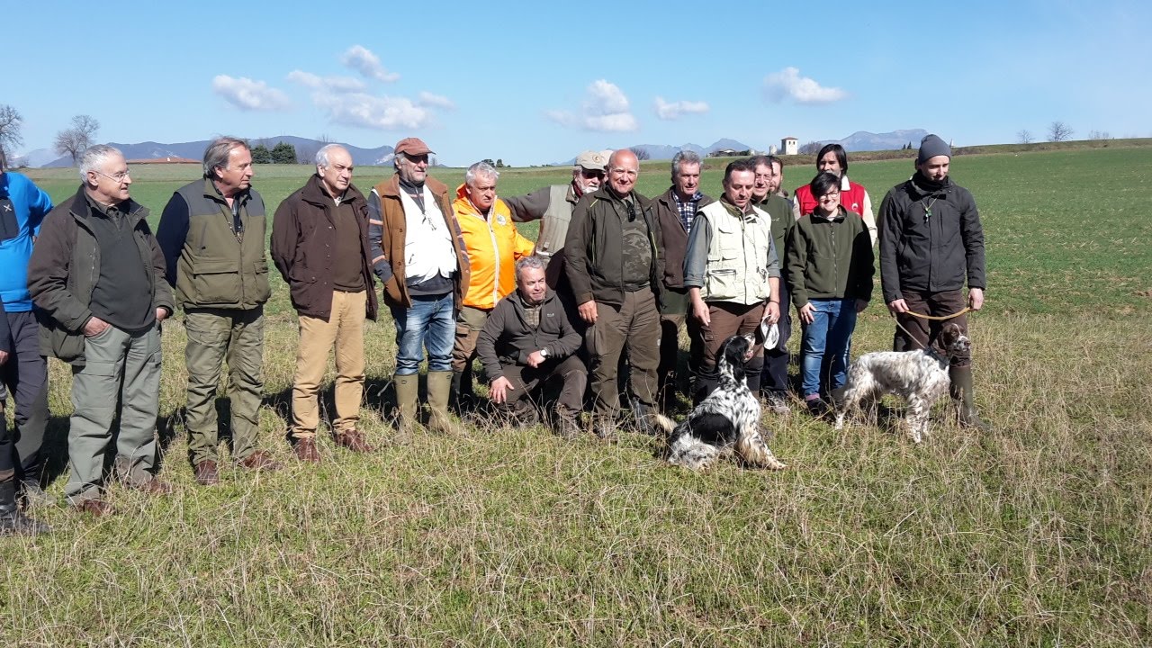 Cinofilia: prova di caccia internazionale per inglesi