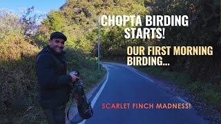 Day 1 Chopta Morning Birding Tour | Scarlet Finch in Mandal Village | Birding Experience| Rare birds screenshot 1