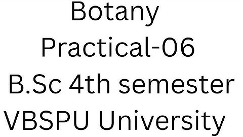 Botany practical record file BSc 4 semester VBSPU University