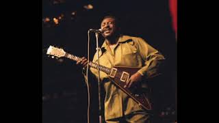 Lovejoy, ILL. - ALbert King - 1971