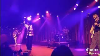 Still Into You - By Paramore - MICO Cover