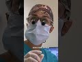 Dog Gets Braces To Help Mouth Pain Dog Short Bondivet 