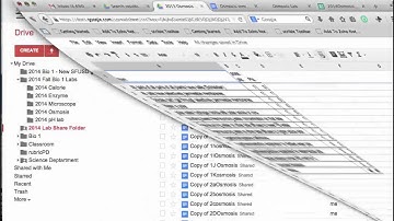 Peer grading with Google forms