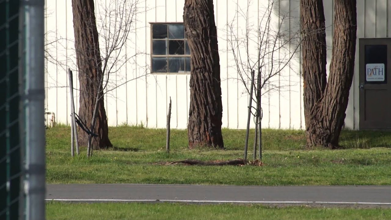 CalSol Reveal Teaser