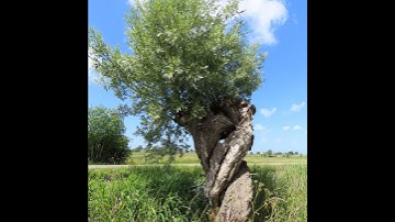 Episode 5 - In verbinding met .. Margriet Kooyman