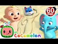 FUN at the BEACH Song | Animals for Kids | Animal Cartoons | Funny Cartoons | Learn about Animals