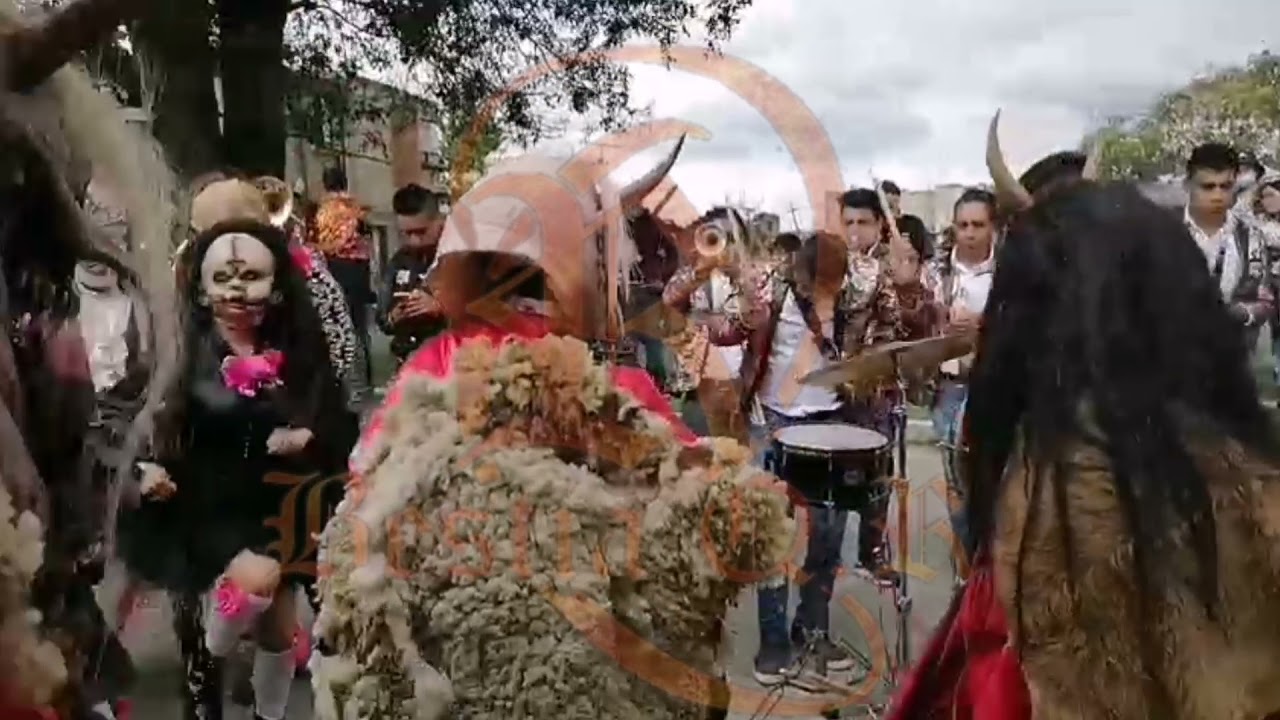 Dame una señal - Banda Aires Del Pacífico en vivo - Carnaval En San Francisco Tlalcilalcalpan