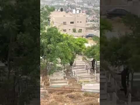 لحظة استشهاد الطفل الفلسطيني محمود أبو الهيجاء برصاص الاحتلال الإسرائيلي في بلدة اليامون غرب جنين  لحظة استشهاد الطفل الفلسطيني محمود أبو الهيجاء برصاص الاحتلال الإسرائيلي في بلدة اليامون غرب جنين