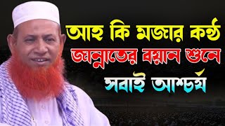 যে কন্ঠের সুরে পাগল করলো সিলেট বাসীকে  মাওলানা নেছার আহমদ চাঁদপুরী সাহেব | ২০২৪ সালের নতুন ওয়াজ