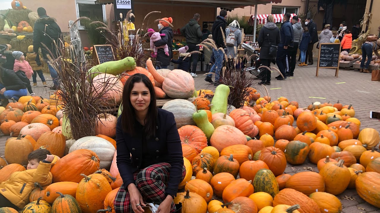 The pumpkin Paradise and pumpkin soup