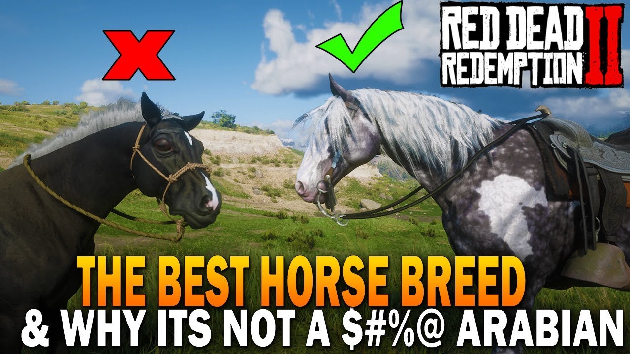 The BEST HORSE In RDR2 And Why It's an - Red Redemption 2 Horses - YouTube