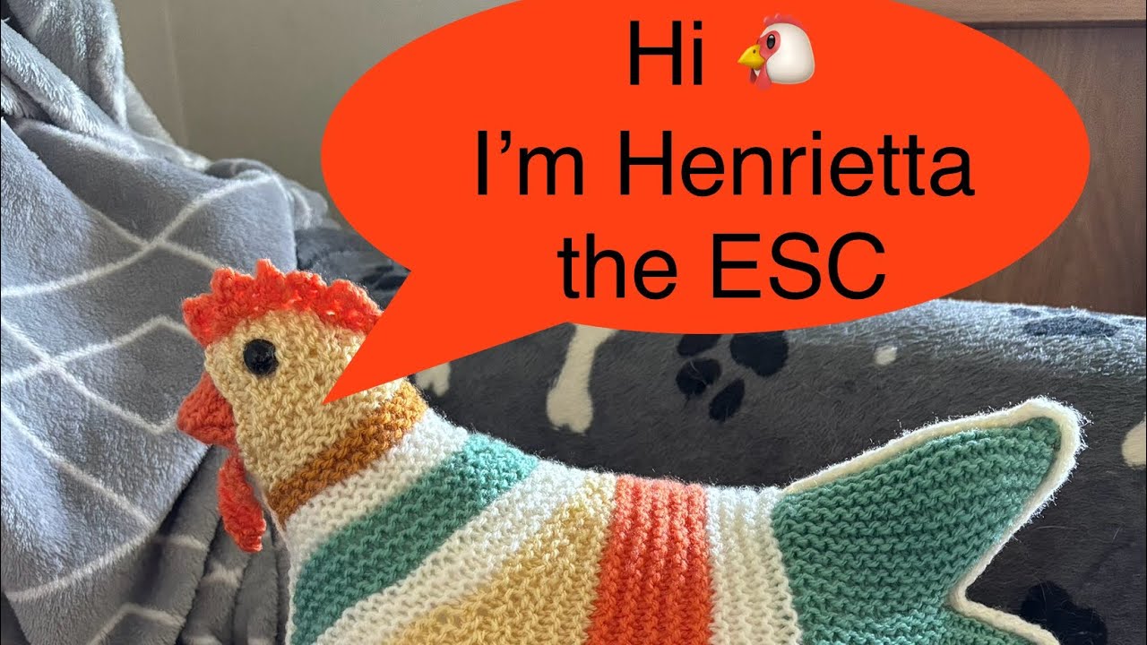 EMOTIONAL SUPPORT CHICKEN by @theknittingtree on Ravelry - YouTube emotional-support-chicken-by-theknittingtree-on-ravelry-youtube