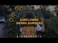 Sierra Burgess ; Sunflower (español)