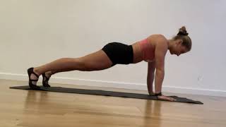 ISO HOLD: High Plank