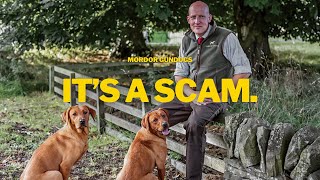 Why We Don't Sell "Part Trained" Dogs (& Why You Shouldn't Buy One)