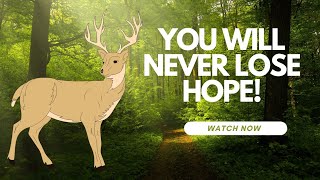 Information You will NEVER lose hope after listening to this Motivational Story  -  the pregnant deer Update