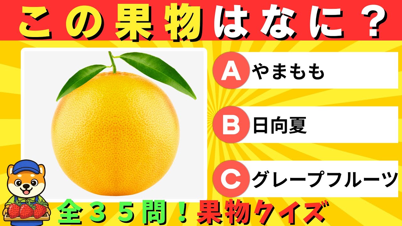 【果物クイズ】全35問！全部わかればフルーツ博士！キミは何問正解できるかな？🐶🍓