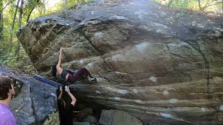 Nine Lives V9 (flash)